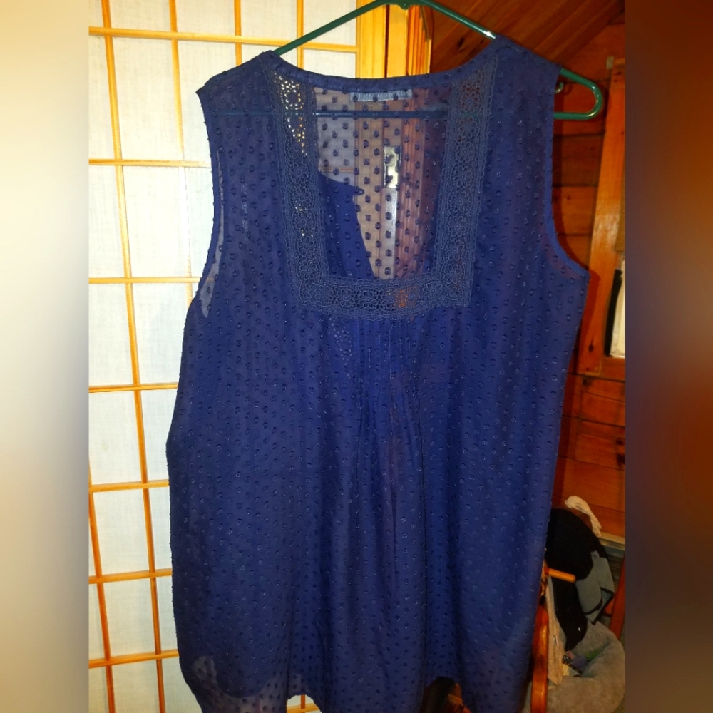 Daniel Rainn sheer blouse